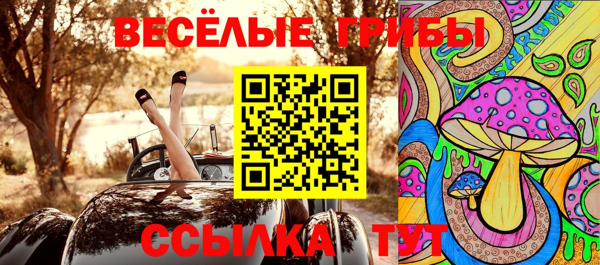 Медногорск  Псилоцибиновые грибы мицелий  Вход с VPN 